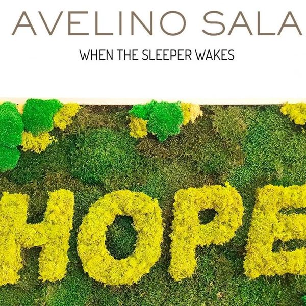 Avelino Sala (p 1991) expone su obra When the sleeper wakes en la galería Xavier Fiol 
